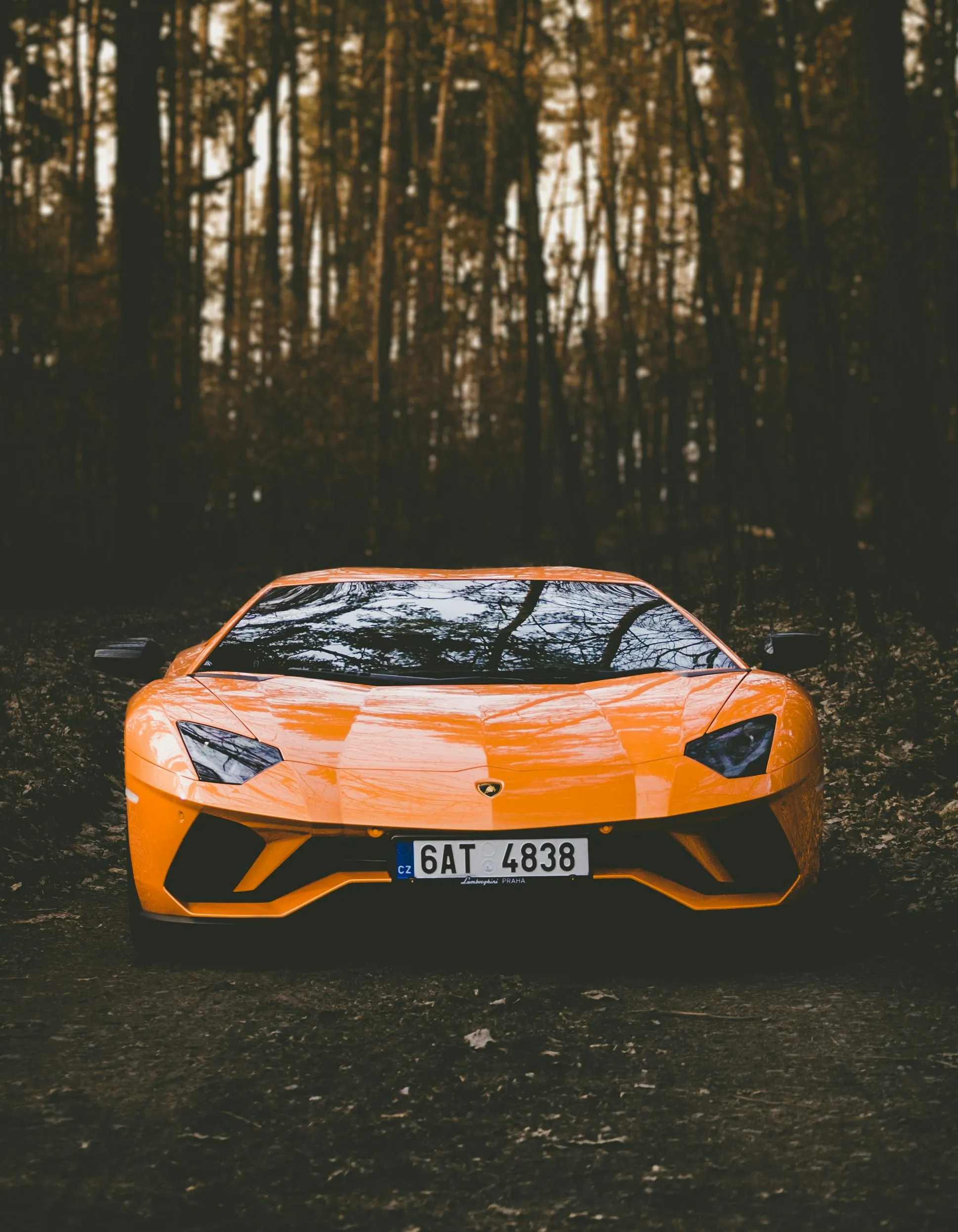 Orangefarbener Supersportwagen im Wald
