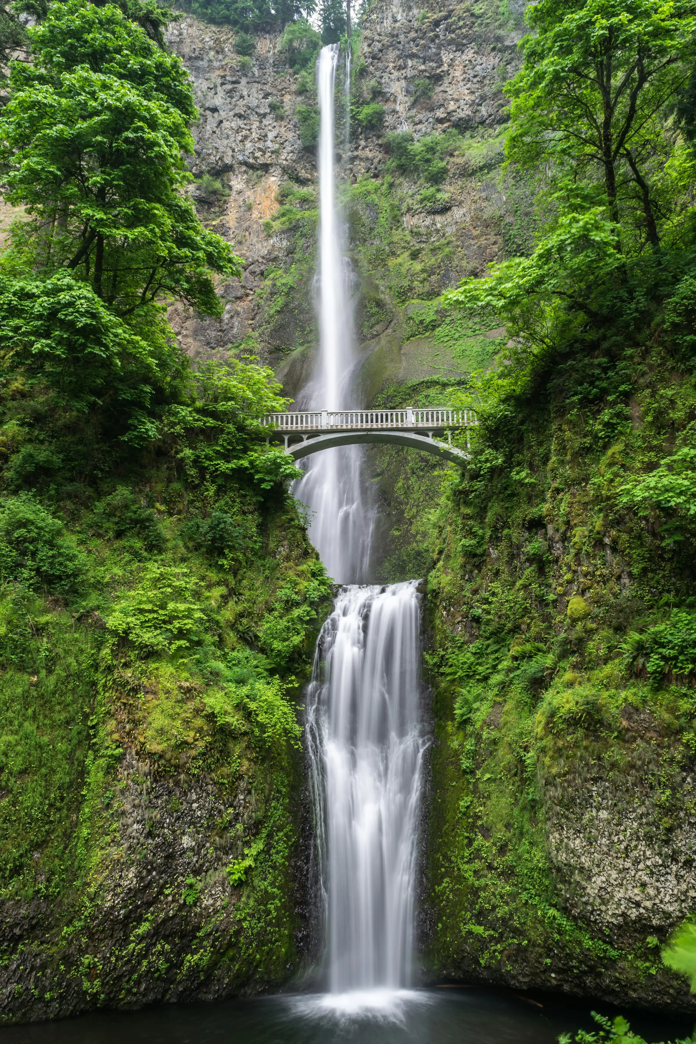 Wasserfall mit Steinbrücke im grünen Wald